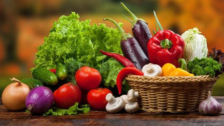 LÖSEVden farkındalık yaratma paneli