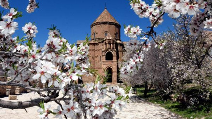 Tarihi Akdamar Adası çiçeklerle süslendi
