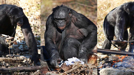 Yemek yapıyor hatta 3 bin kelime anlıyor Yemek yapıyor hatta 3 bin kelime anlıyor