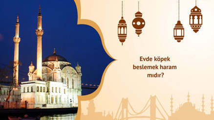 Evde köpek beslemek haram mıdır