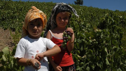 Yerel kalkınma ile köyden kente göç durdu