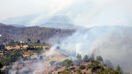 Alanyada orman yangını 10 hektarda etkili, arazöz alevlerin ortasında kaldı (6)
