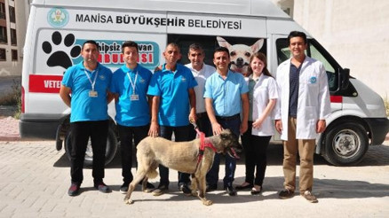İşkence gören sokak köpeği doğal ortamına bırakıldı