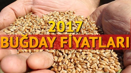 TMO, 2017 buğday fiyatları için açıklama yaptı
