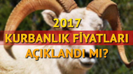 2017 Kurbanlık fiyatları açıklandı Kurbanlık fiyatları ne kadar oldu
