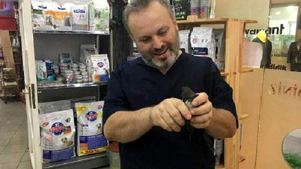 Zonguldak’ta tedavi edilen 5 yavru ebabil kuşu doğaya bırakıldı