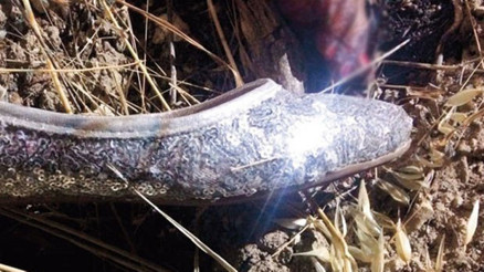 212 kadının yakınlarıyla görüşülecek Korkunç cinayetin tek delili...