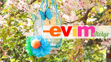 Hiç Kelebek Besleme Kavanozu Görmüş müydünüz | Evim