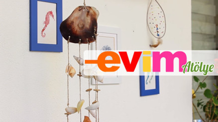 Deniz Kabuklarından Duvar Süsü Yapıyoruz | Evim Deniz Kabuklarından Duvar Süsü Yapıyoruz | Evim