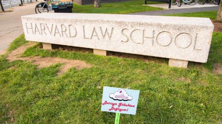 Göbek bağlarını Harvard bahçesine gömüyorlar