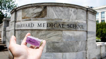 Göbek bağlarını Harvard bahçesine gömüyorlar Göbek bağlarını Harvard bahçesine gömüyorlar