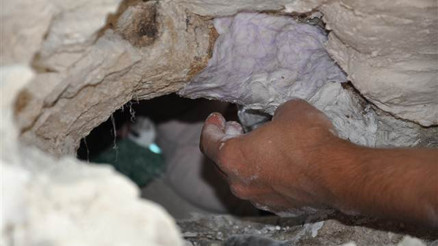 9 milyon yıllık fosiller gün yüzüne çıkarılıyor