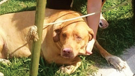 Öfkem öyle acı bir öfke ki bağırsam camlar kırılır