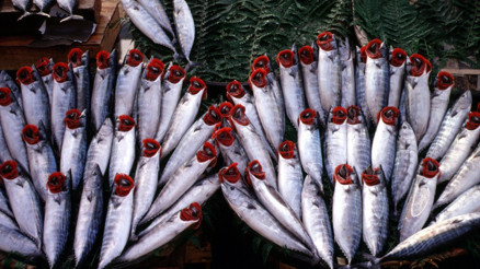 Sonbaharda bu balıklar yenir