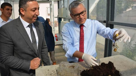 Vali Şimşek, tohumluk patates hasadı yaptı