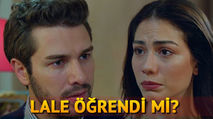 No:309 61. yeni bölümünde Lale kabulleniyor mu Son bölümde neler oldu No:309 61. yeni bölümünde Lale kabulleniyor mu Son bölümde neler oldu