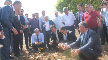 Niğdede milli patateslerin hasadı yapıldı