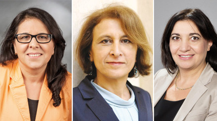 Türkiye kökenli kadın vekiller: Tedirginiz