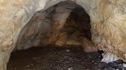 Diyarbakırda narko-terör operasyonu: 251 kilo esrar ele geçirildi