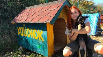 Üniversitede köpekler için beslenme yerleri kurdular