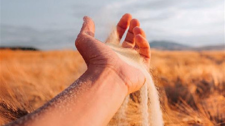 IPO’dan DÜnya Makarna Gününde ‘Herkes için makarna’