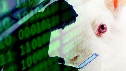 Bad Rabbit virüsü resmen Türkiyeye girdi