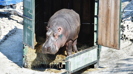 İzmir’de hiç yabancılık çekmedi