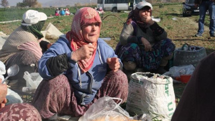Ruhiye Güngör: Çamurlu ayakkabıyla bankaya girilmez diye çıkardım