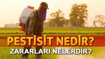 Pestisit nedir Pestisitin türleri ve zararları nelerdir Pestisit nedir Pestisitin türleri ve zararları nelerdir