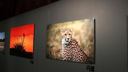 Engin Altan Düzyatan, Afrikada çektiği fotoğraflarla sergi açtı