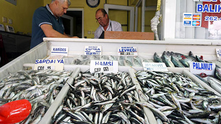 Türkiyeden 16 ülkeye hamsi ihraç edildi