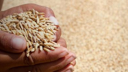 Gıda Sürdürülebilirliğinde Türkiye 34 ülke arasında 15’inci oldu