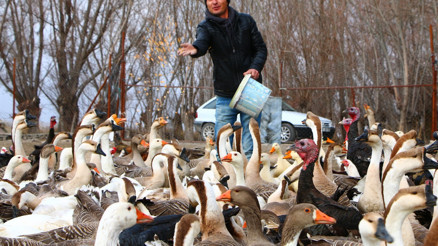 2 yıl önce kurdu İlçeye umut oldu