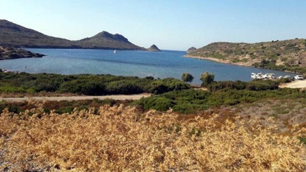 Bodrumda meralar halka kalsın eylemi