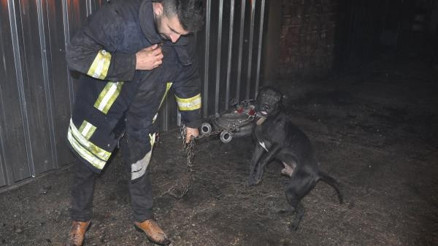 İşyeri yanan işletmeci itfaiyecilerle birlikte köpeğini kurtardı