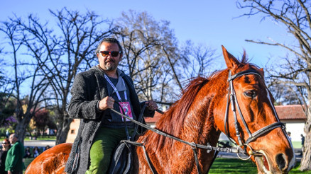 Gündüz Güreş Gece Dans