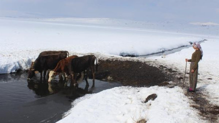 Hikayesi ile şaşırtan milli atlet Gülcana ilgi ve destek büyük