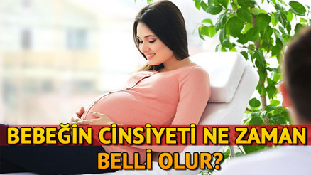 Bebeğin cinsiyeti ne zaman belli olur