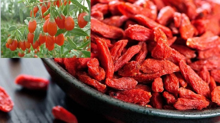 Goji berry (kurt üzümü)  faydaları neler Goji berry çayı nasıl yapılır