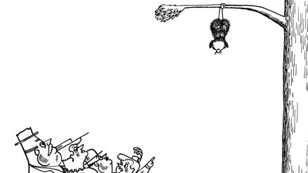 Budala ve şapşalın kim olduğu tartışılır