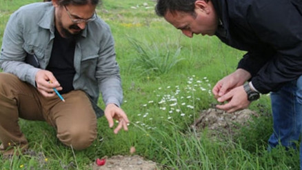 Üniversite kampüsündeki kazılar tarihe ışık tutacak