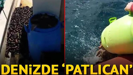 Denizde patlıcan operasyonu