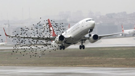 Atatürk Havalimanında hareketli dakikalar Pilotlar anons üstüne anons geçiyor