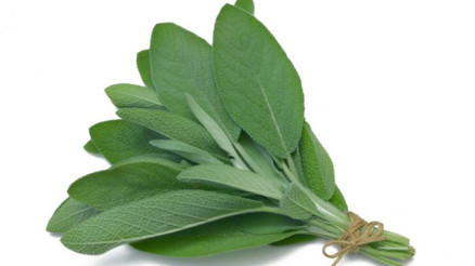 Adaçayının faydaları neler Adaçayı nasıl demlenir