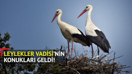 Leylekler Vadisinin konukları geldi
