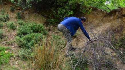 Mantar toplarken dikkat