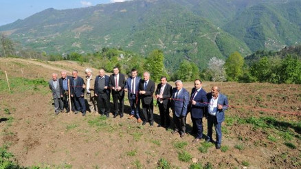 Tonya’da yeni gelir kapası ceviz üretimi