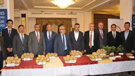 Yerli patates tohumlarına pazarlama ve satış hakkı