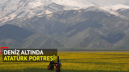 Yüksekova, ilkbaharla birlikte rengârenk Yüksekova, ilkbaharla birlikte rengârenk