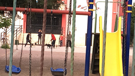Okul bahçesinde şoke eden görüntü